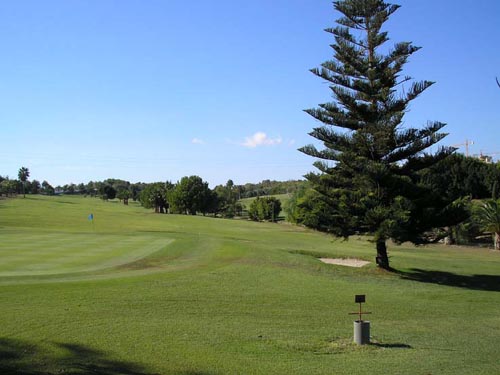 Golf Course Picture